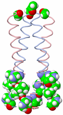 Image Biological Unit 1