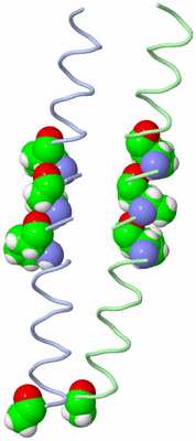 Image Asymmetric Unit