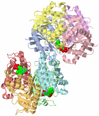 Image Biological Unit 1