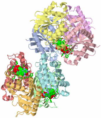 Image Biol. Unit 1 - sites