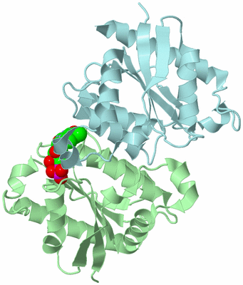 Image Biological Unit 3