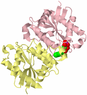 Image Biological Unit 4