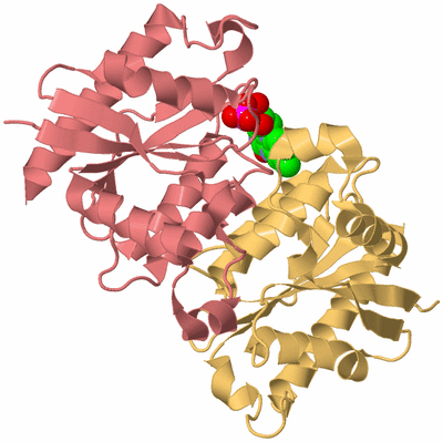 Image Biological Unit 5