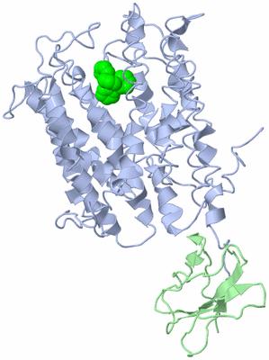 Image Asym./Biol. Unit