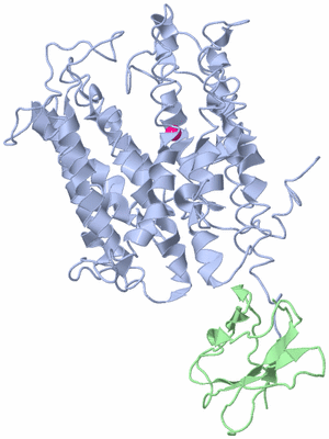 Image Asym./Biol. Unit