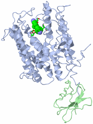 Image Asym./Biol. Unit - sites