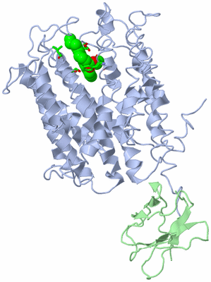 Image Biol. Unit 1 - sites