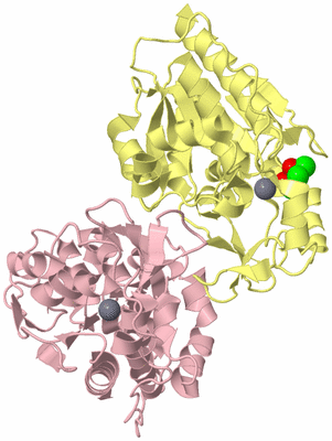 Image Biological Unit 2