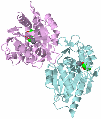 Image Biological Unit 3