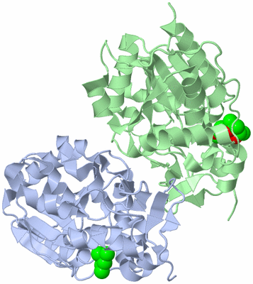 Image Biological Unit 1