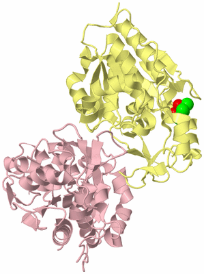 Image Biological Unit 2