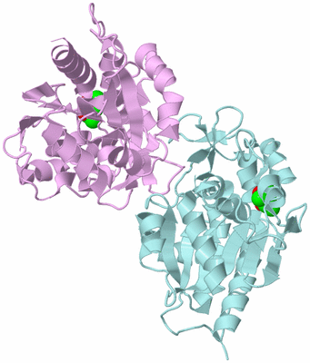 Image Biological Unit 3