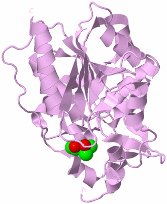 Image Biological Unit 4