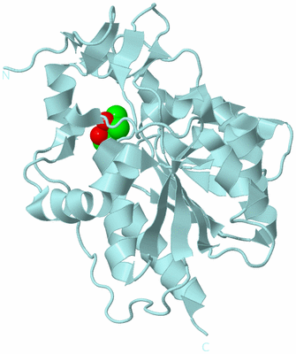 Image Biological Unit 5