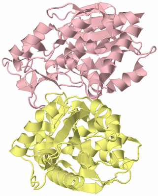 Image Biological Unit 2