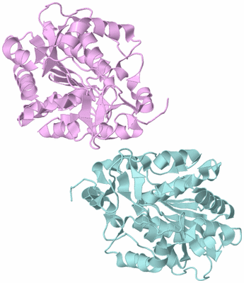 Image Biological Unit 3