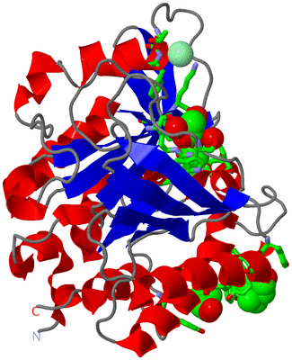 Image Asym./Biol. Unit - sites