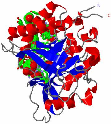 Image Asym./Biol. Unit - sites