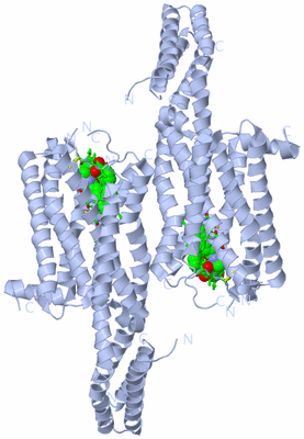 Image Biol. Unit 1 - sites