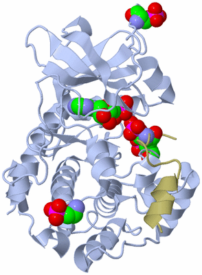 Image Asym./Biol. Unit