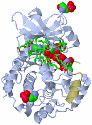 Image Asym./Biol. Unit - sites