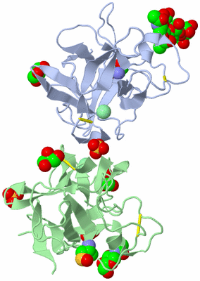 Image Biological Unit 3