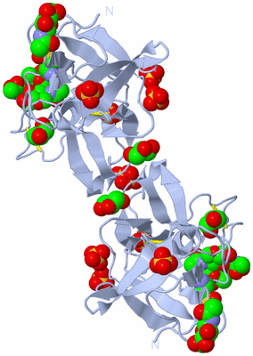 Image Biological Unit 2