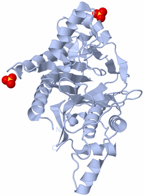 Image Biological Unit 1