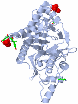 Image Biol. Unit 1 - sites