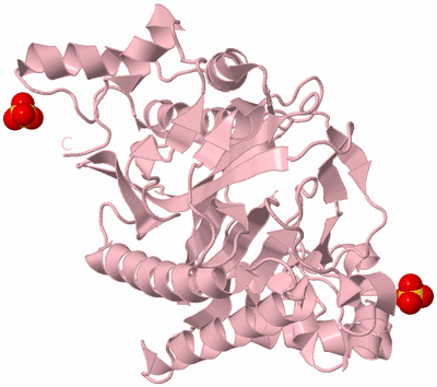 Image Biological Unit 3