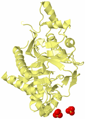 Image Biological Unit 4