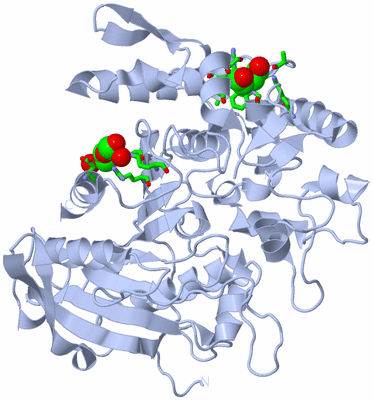 Image Biol. Unit 1 - sites