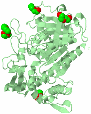 Image Biological Unit 2