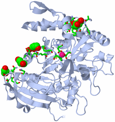 Image Biol. Unit 1 - sites