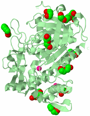 Image Biological Unit 2