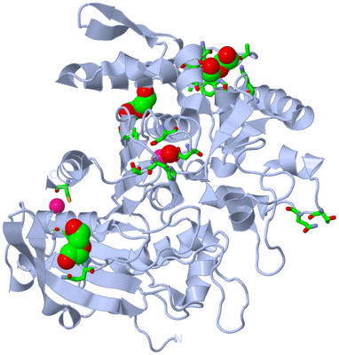 Image Biol. Unit 1 - sites