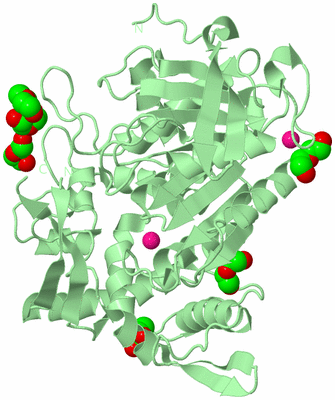 Image Biological Unit 2