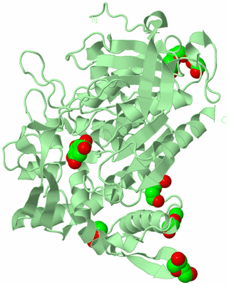 Image Biological Unit 2