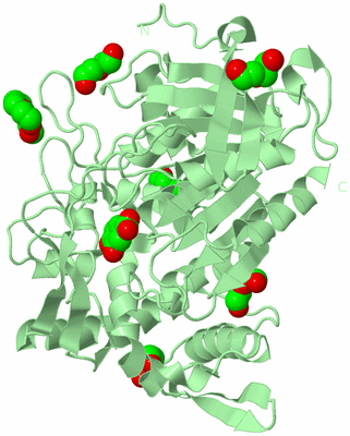 Image Biological Unit 2