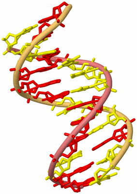 Image Biological Unit 4