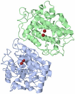 Image Asym./Biol. Unit