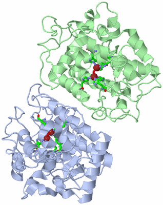 Image Asym./Biol. Unit - sites