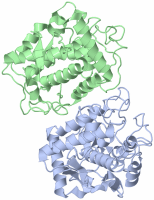 Image Asym./Biol. Unit