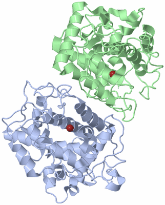 Image Asym./Biol. Unit