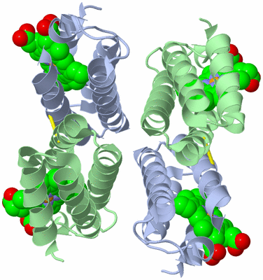 Image Biological Unit 1