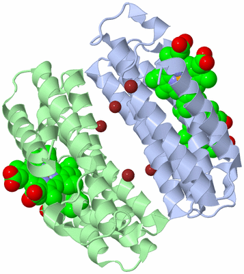 Image Biological Unit 1