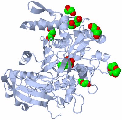 Image Biological Unit 1