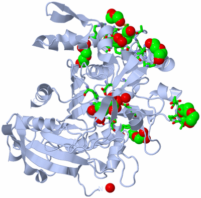 Image Biol. Unit 1 - sites