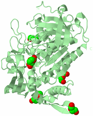 Image Biological Unit 2