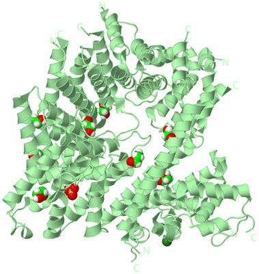 Image Biological Unit 2